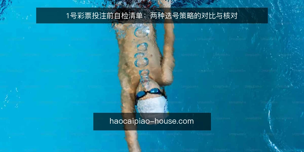 1号彩票投注前自检清单:两种选号策略的对比与核对 — 明确决策标准:投注前需要核对什么 配图