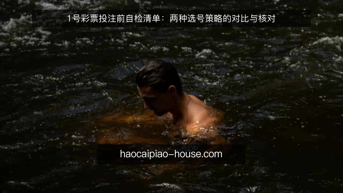 1号彩票投注前自检清单：两种选号策略的对比与核对