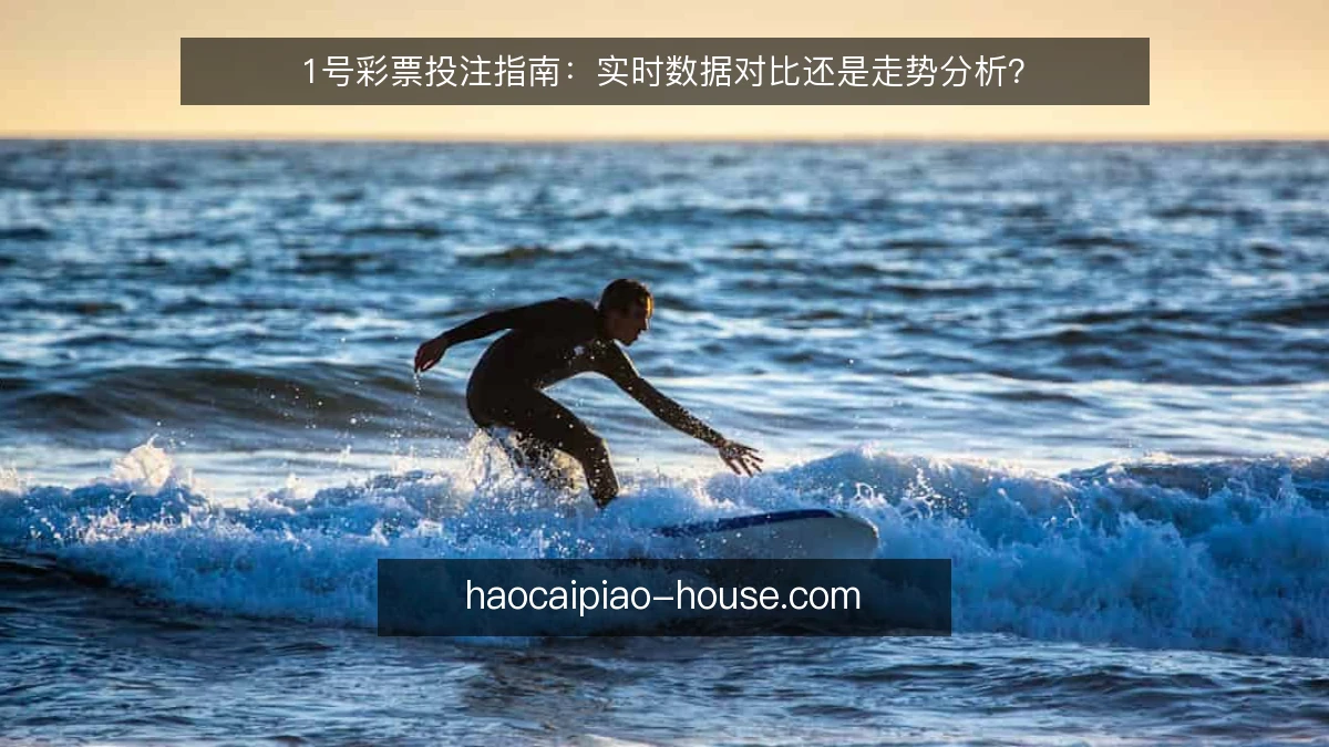 1号彩票投注指南：实时数据对比还是走势分析？