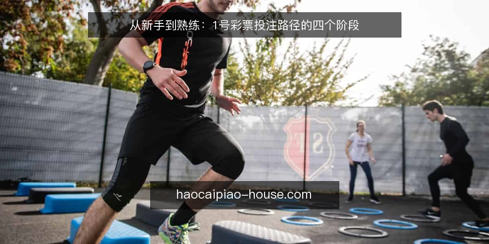 从新手到熟练:1号彩票投注路径的四个阶段 — 初识:从观望到建立基本认知 配图