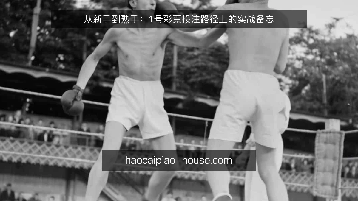 从新手到熟手：1号彩票投注路径上的实战备忘
