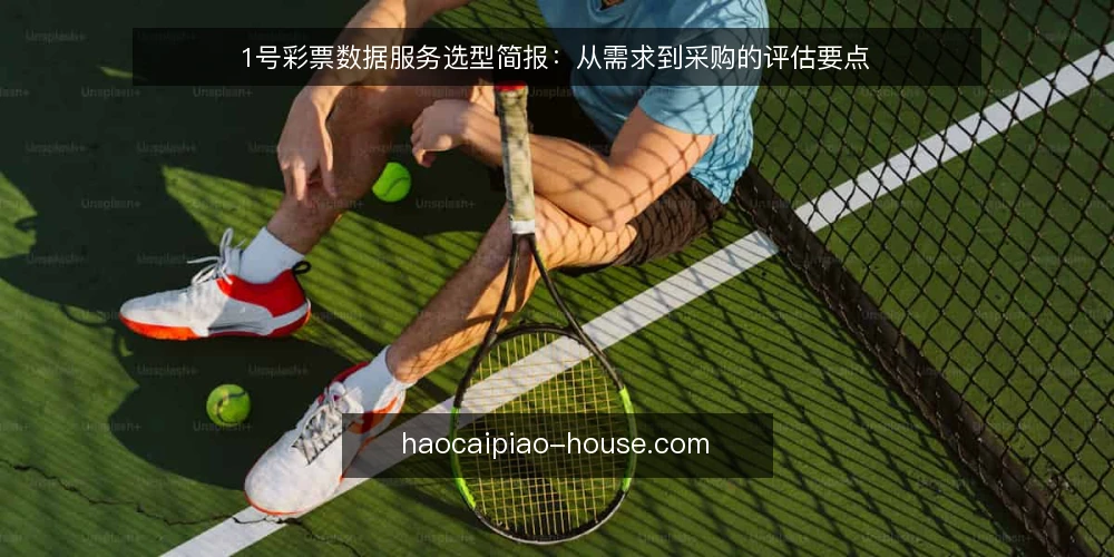 1号彩票数据服务选型简报：从需求到采购的评估要点 — 需求定义：先明确你要解决什么问题 配图