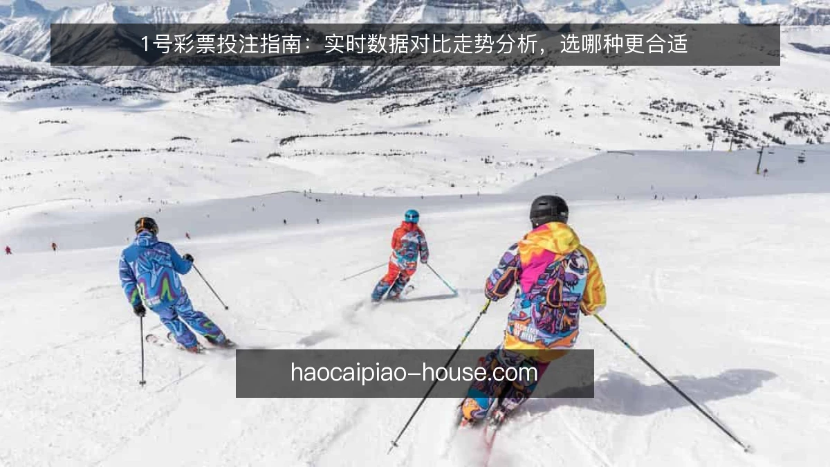 1号彩票投注指南：实时数据对比走势分析，选哪种更合适